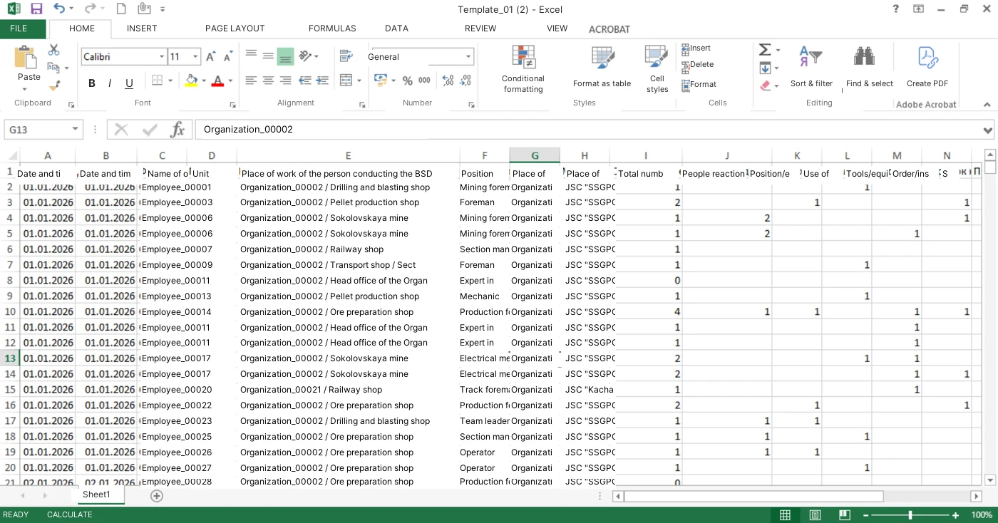 Fig. 2. The anonymized Excel template used for development